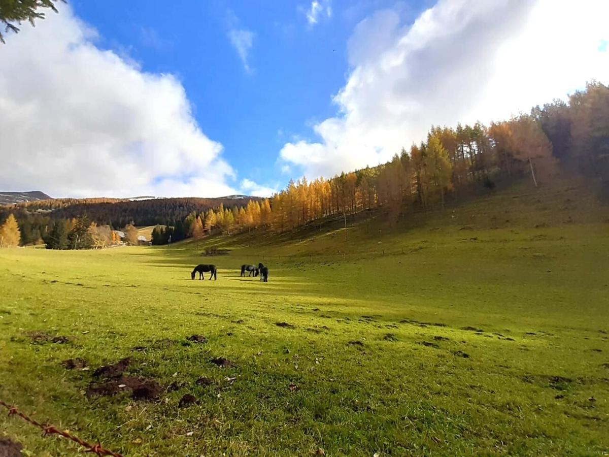 Chalet Verdino Bad Kleinkirchheim Εξωτερικό φωτογραφία