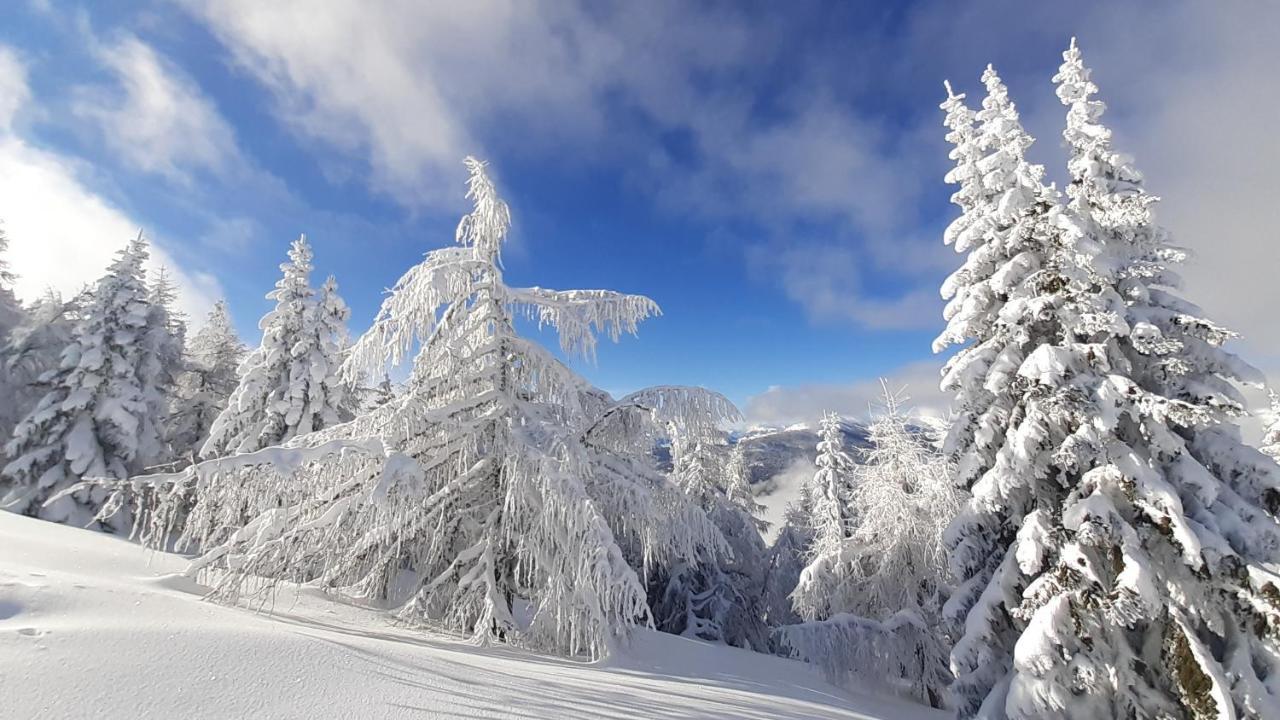 Chalet Verdino Bad Kleinkirchheim Εξωτερικό φωτογραφία