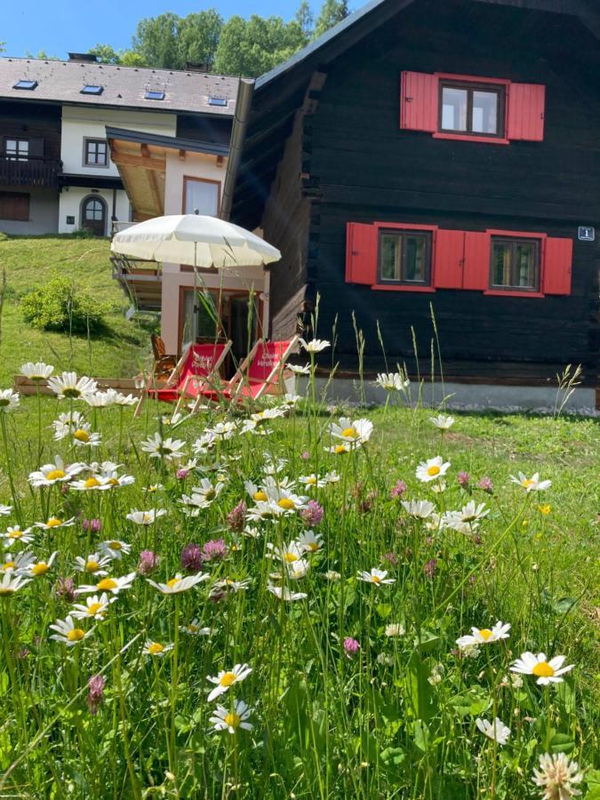 Chalet Verdino Bad Kleinkirchheim Εξωτερικό φωτογραφία